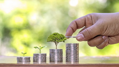 coin money tree